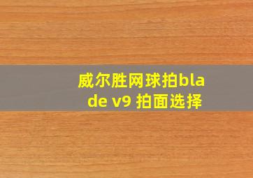 威尔胜网球拍blade v9 拍面选择